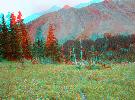 anaglyphe