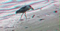 anaglyphe